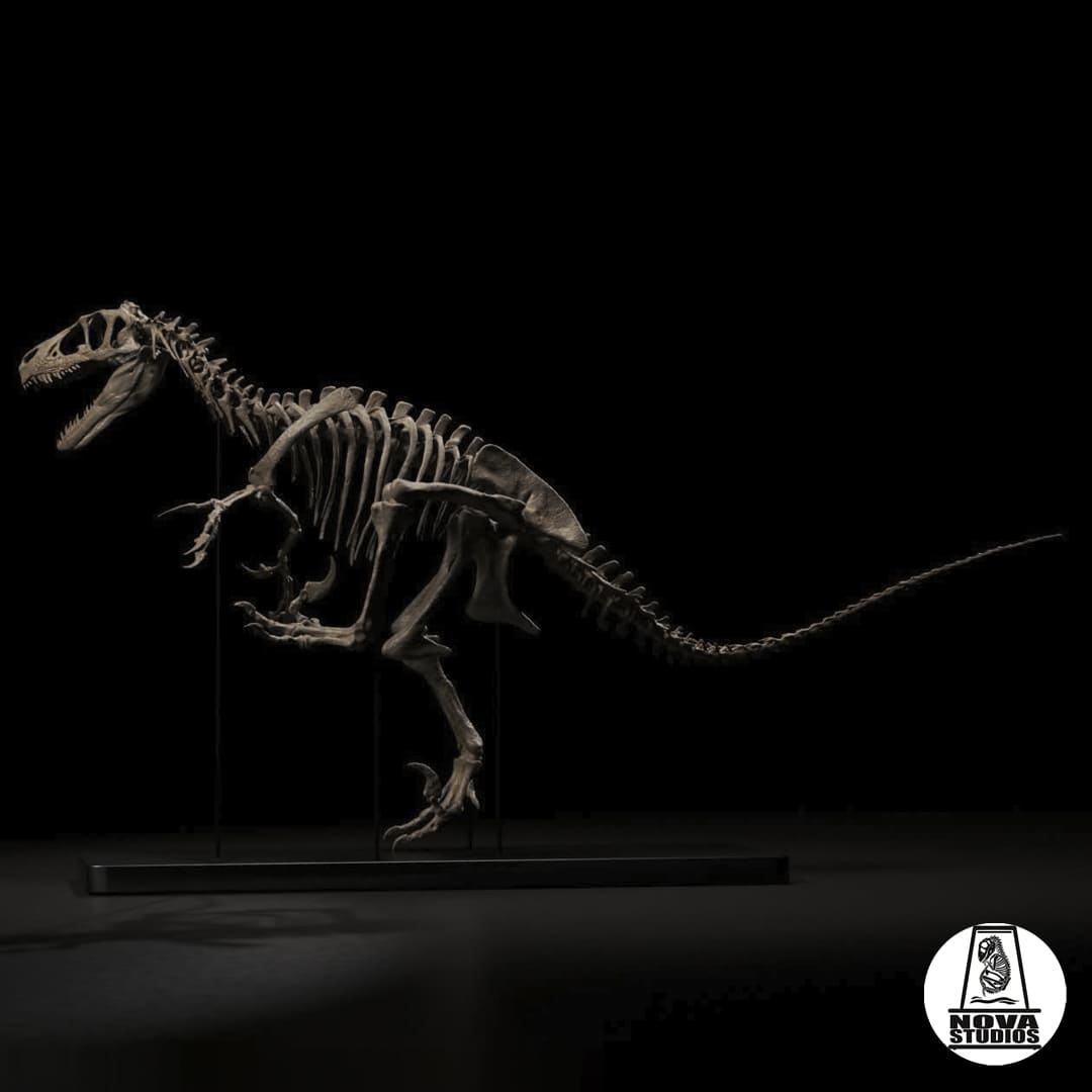 Utahraptor ostrommaysi