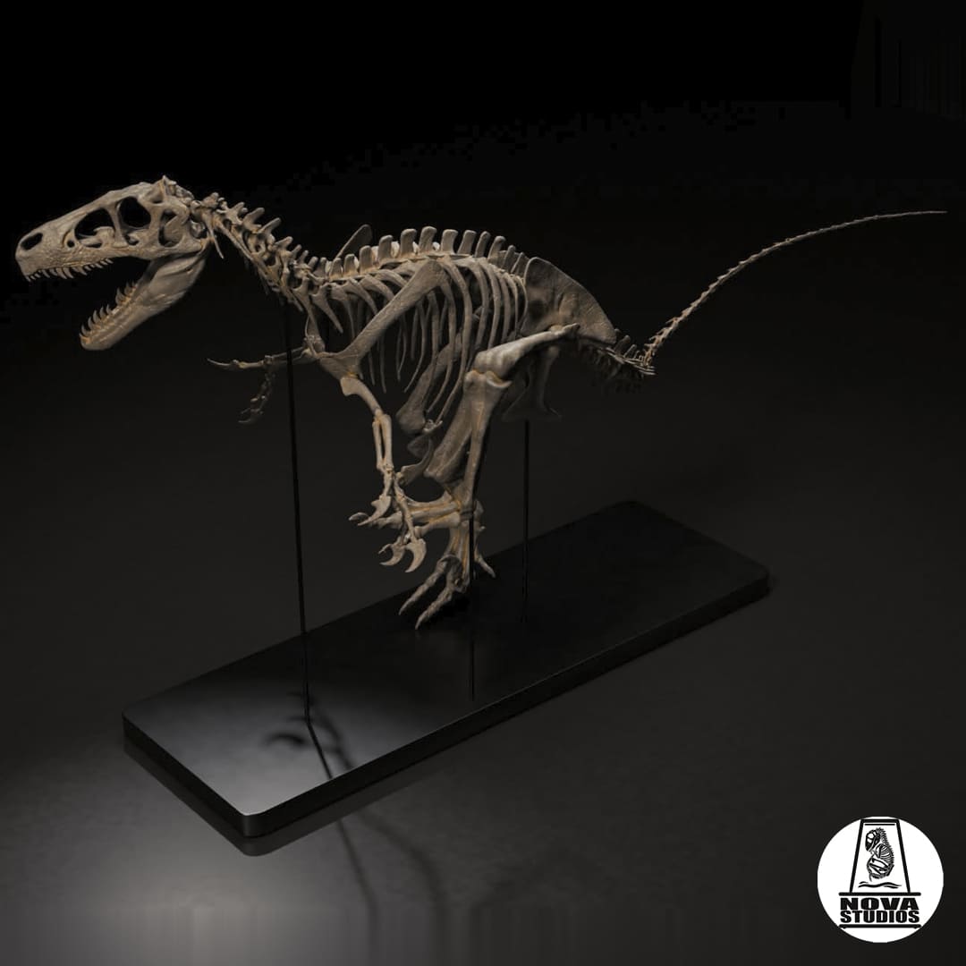 Utahraptor ostrommaysi