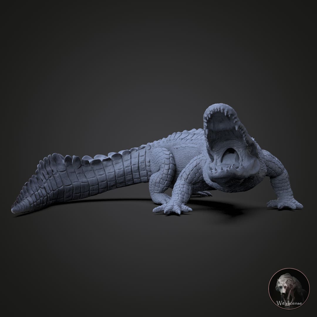 Alligator mississippiensis