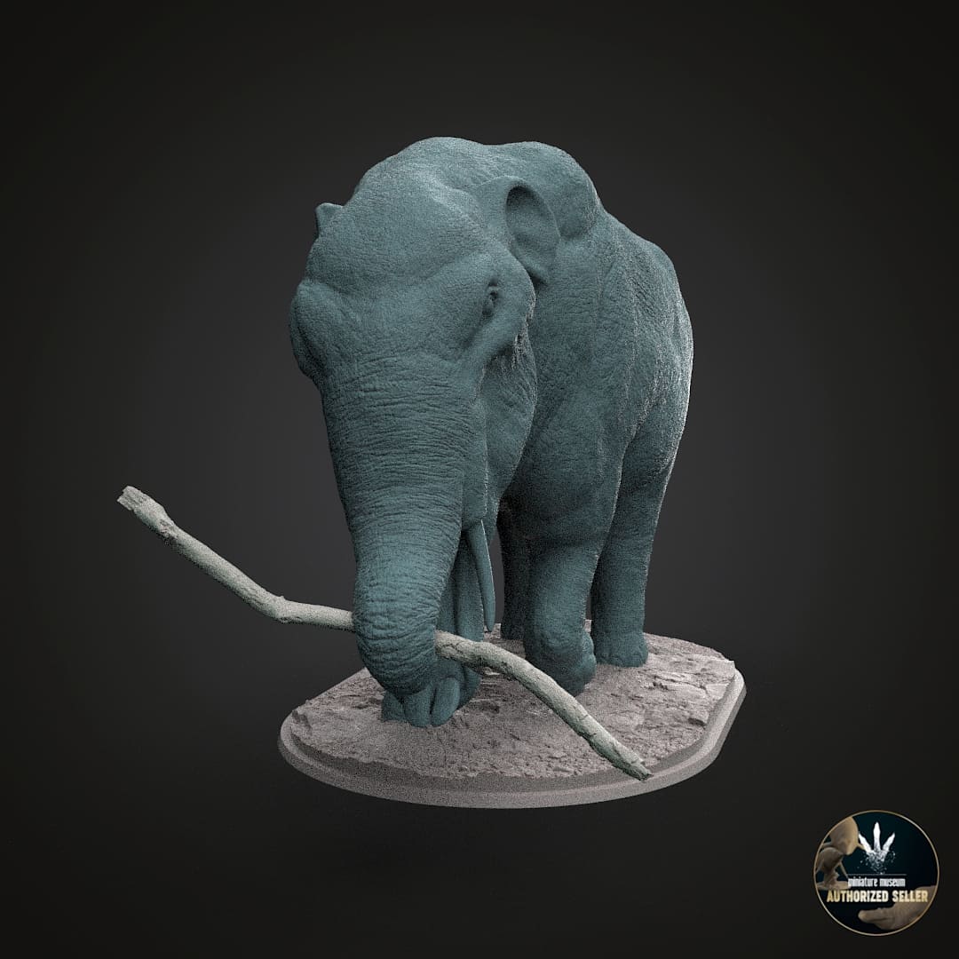 Amebelodon fricki