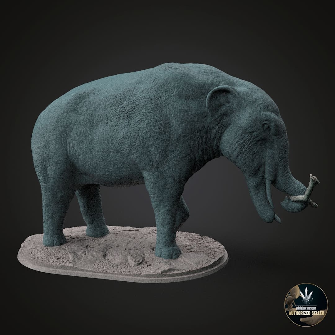 Amebelodon fricki