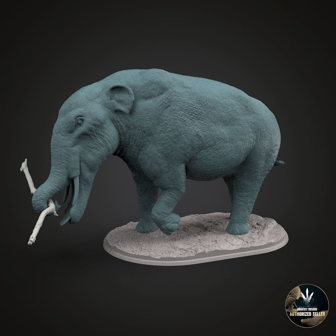 Amebelodon fricki
