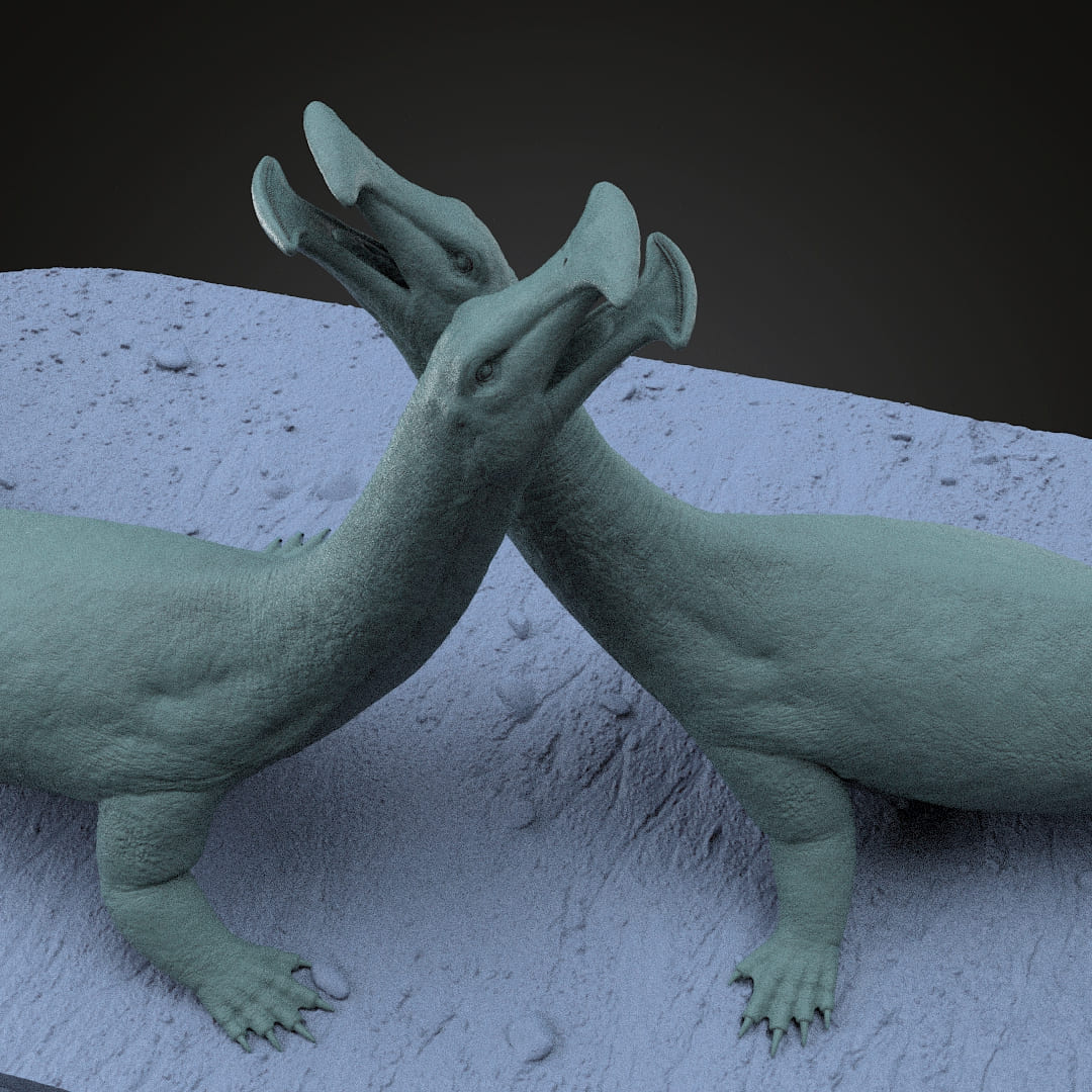 Atopodentatus unicus