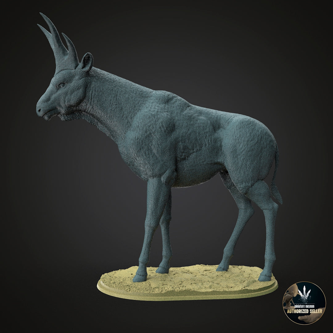 Bramatherium perimense