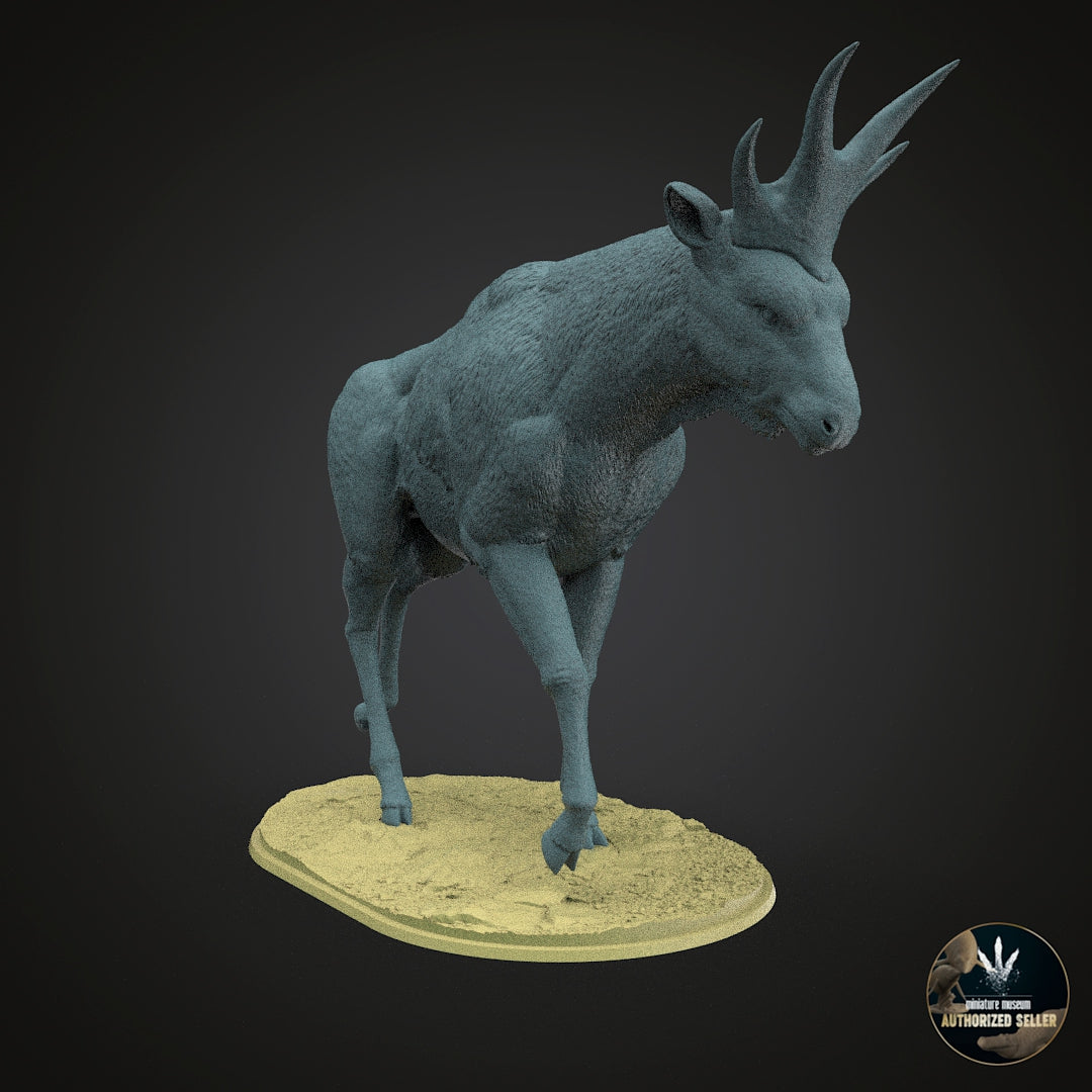 Bramatherium perimense