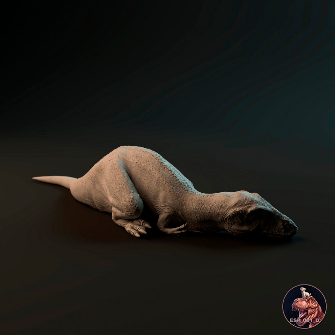 Carcharodontosaurus Baby 3 Posen