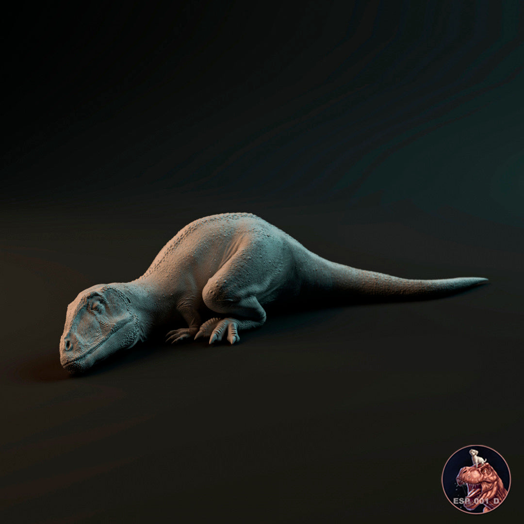 Carcharodontosaurus Baby 3 Posen