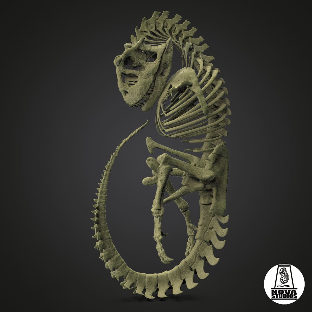 Carnotaurus-Fötus