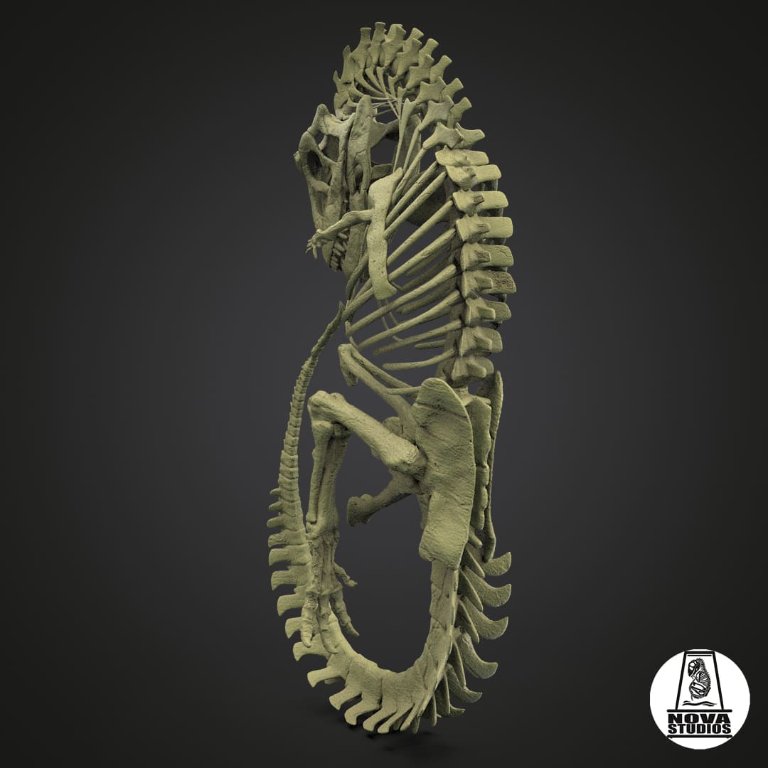 Carnotaurus-Fötus