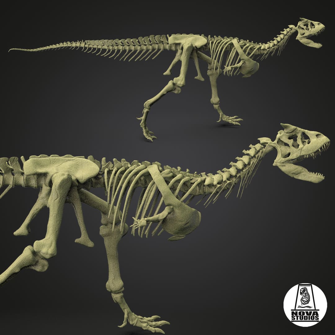 Carnotaurus sastrei skeleton