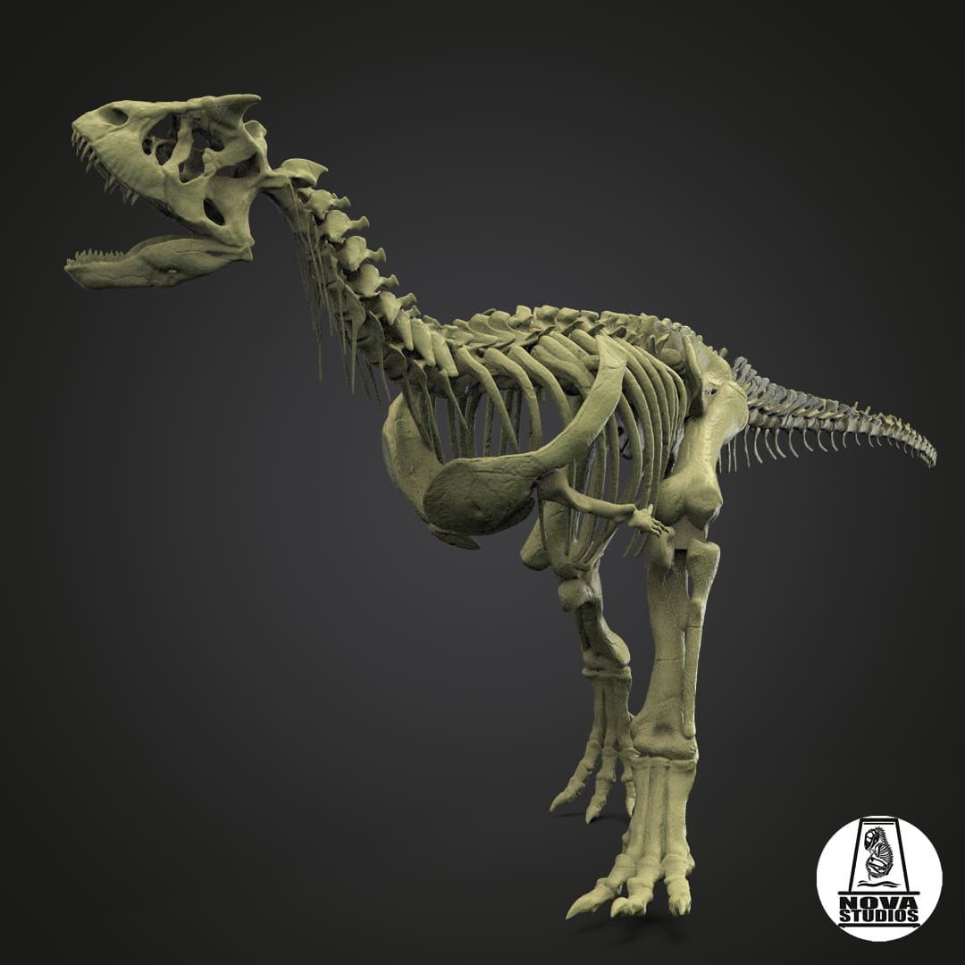 Carnotaurus sastrei skeleton