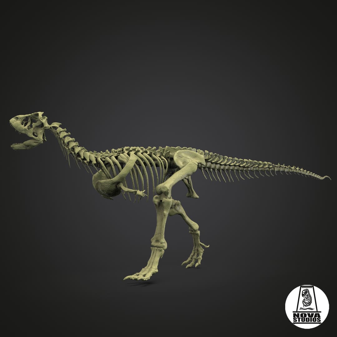 Carnotaurus sastrei skeleton