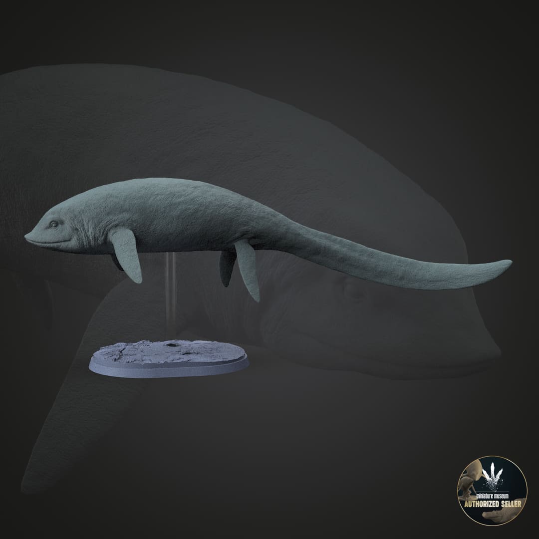 Cartorhynchus lenticarpus