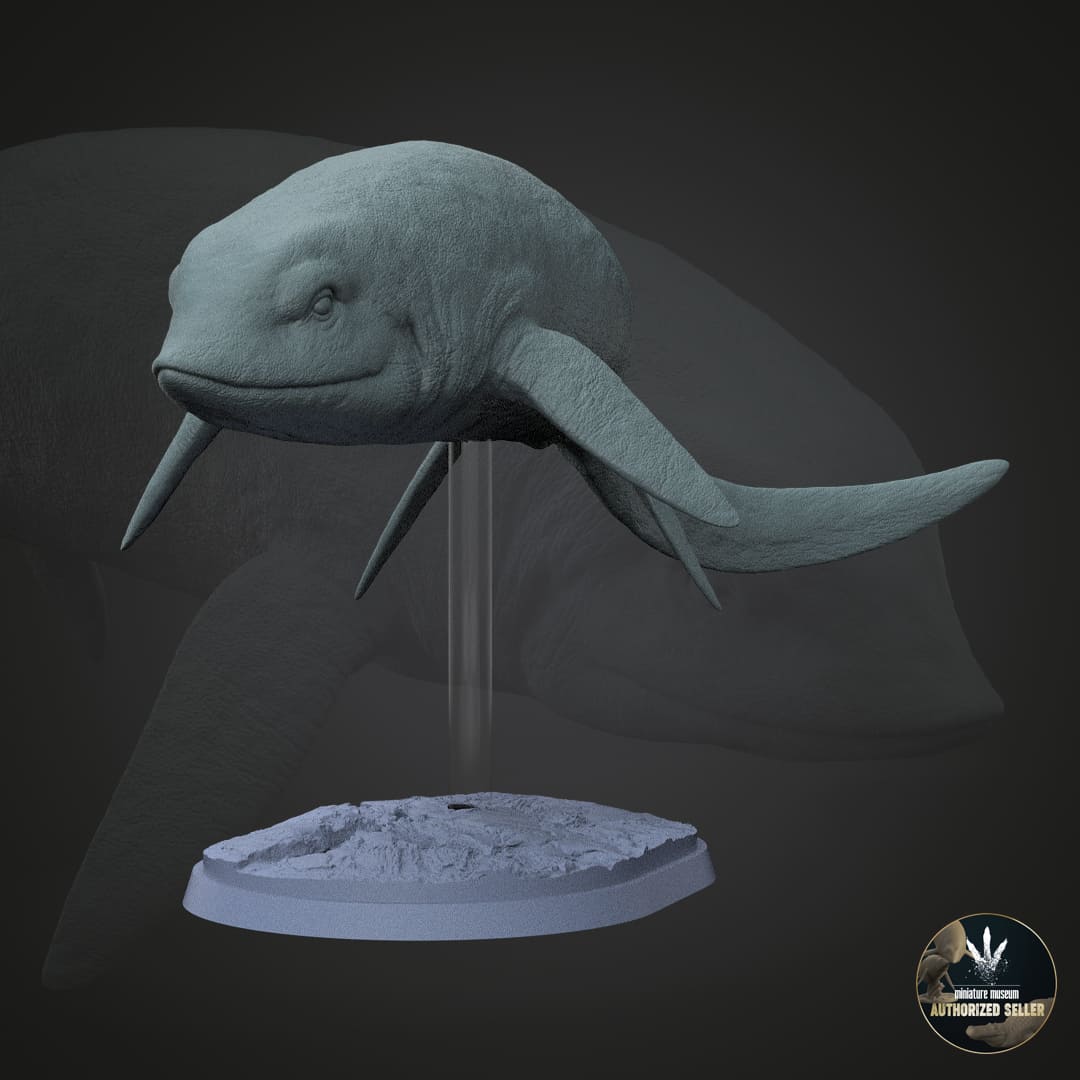 Cartorhynchus lenticarpus