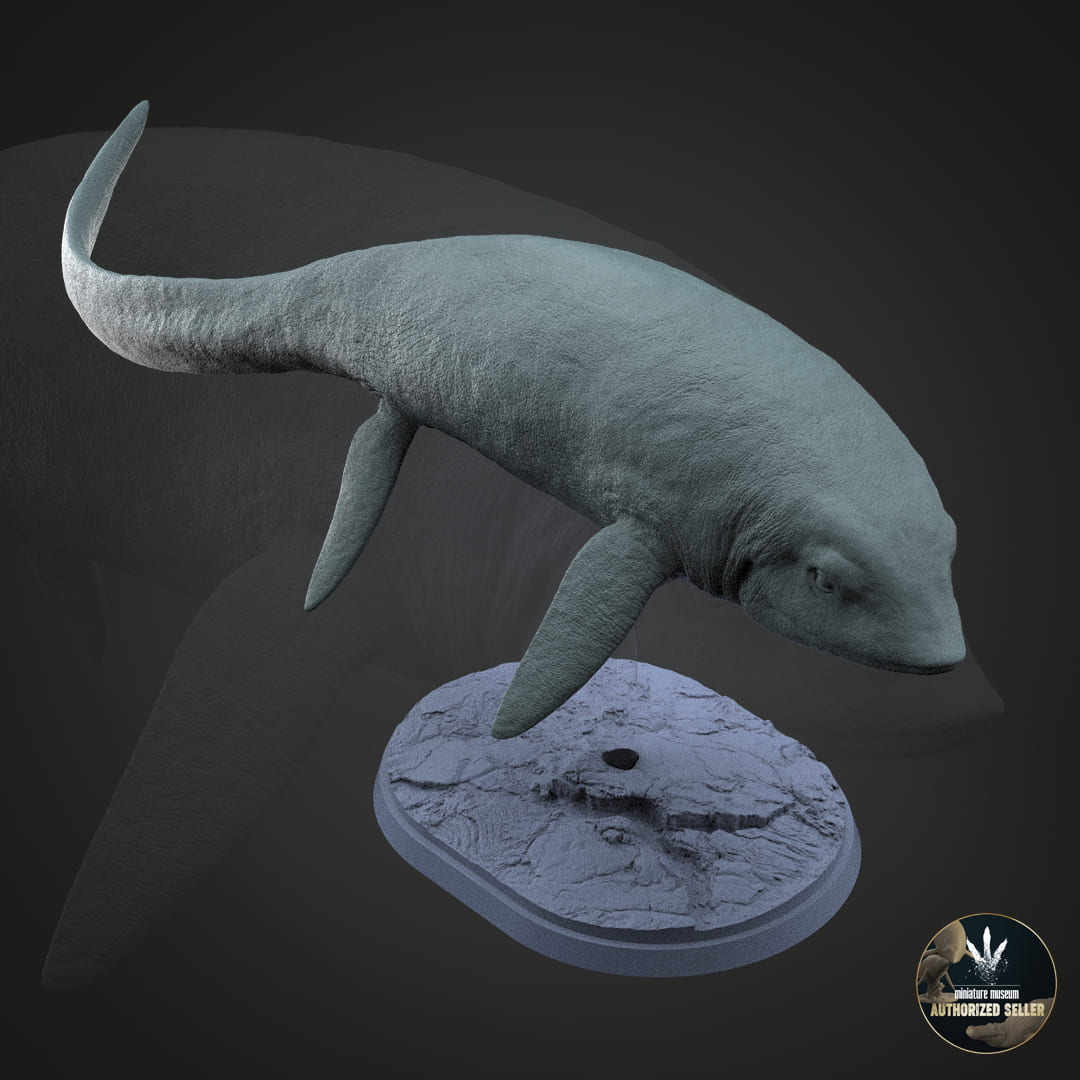 Cartorhynchus lenticarpus