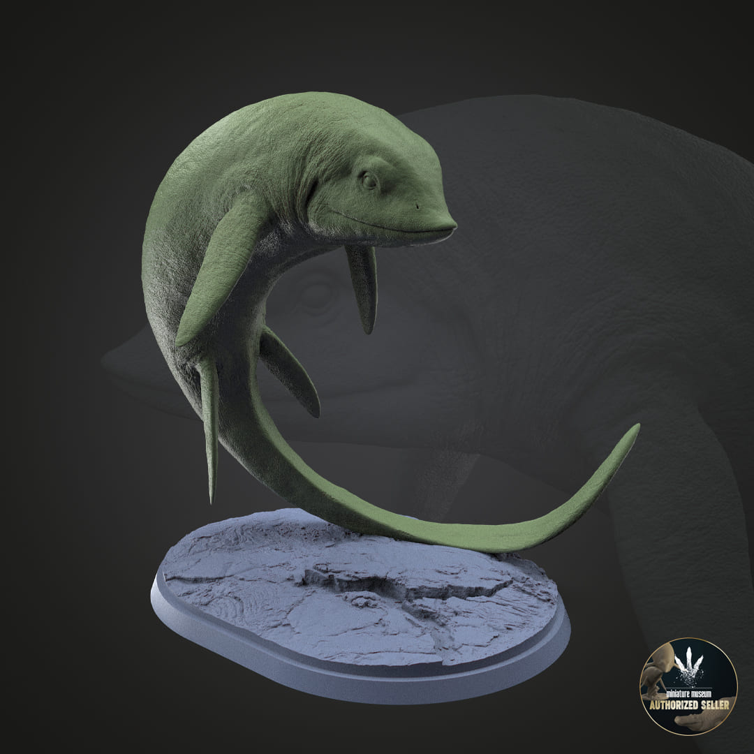 Cartorhynchus lenticarpus