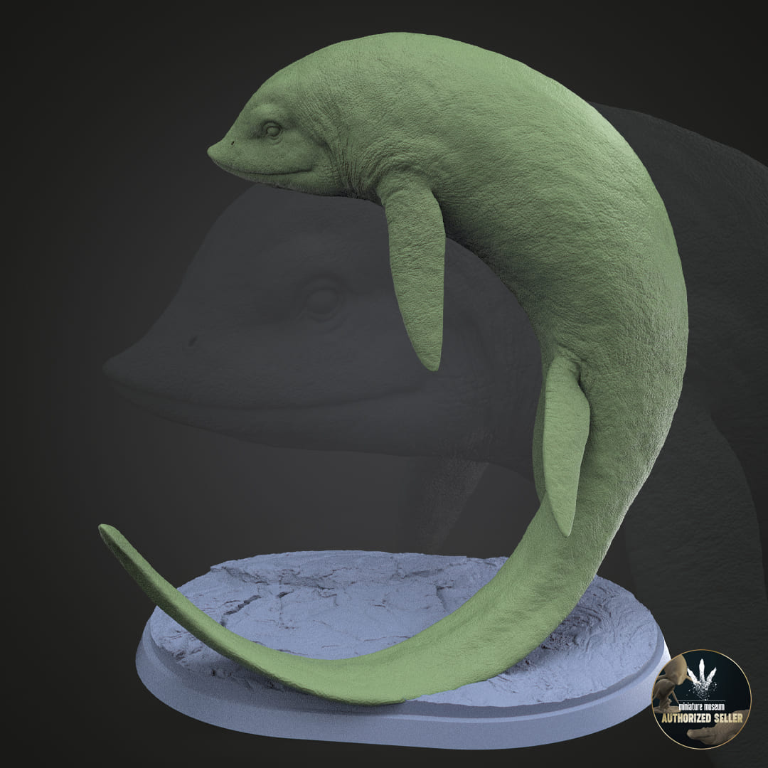 Cartorhynchus lenticarpus