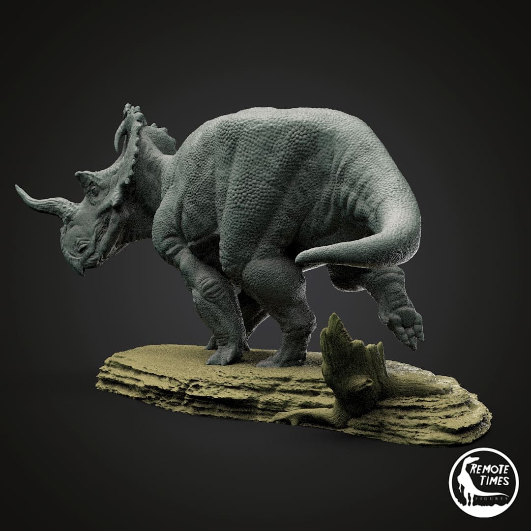 Centrosaurus apertus