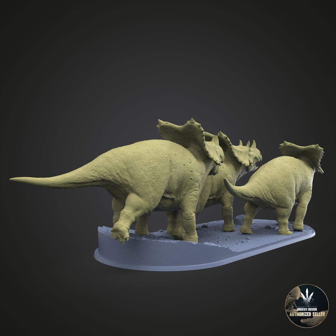 Chasmosaurus belli