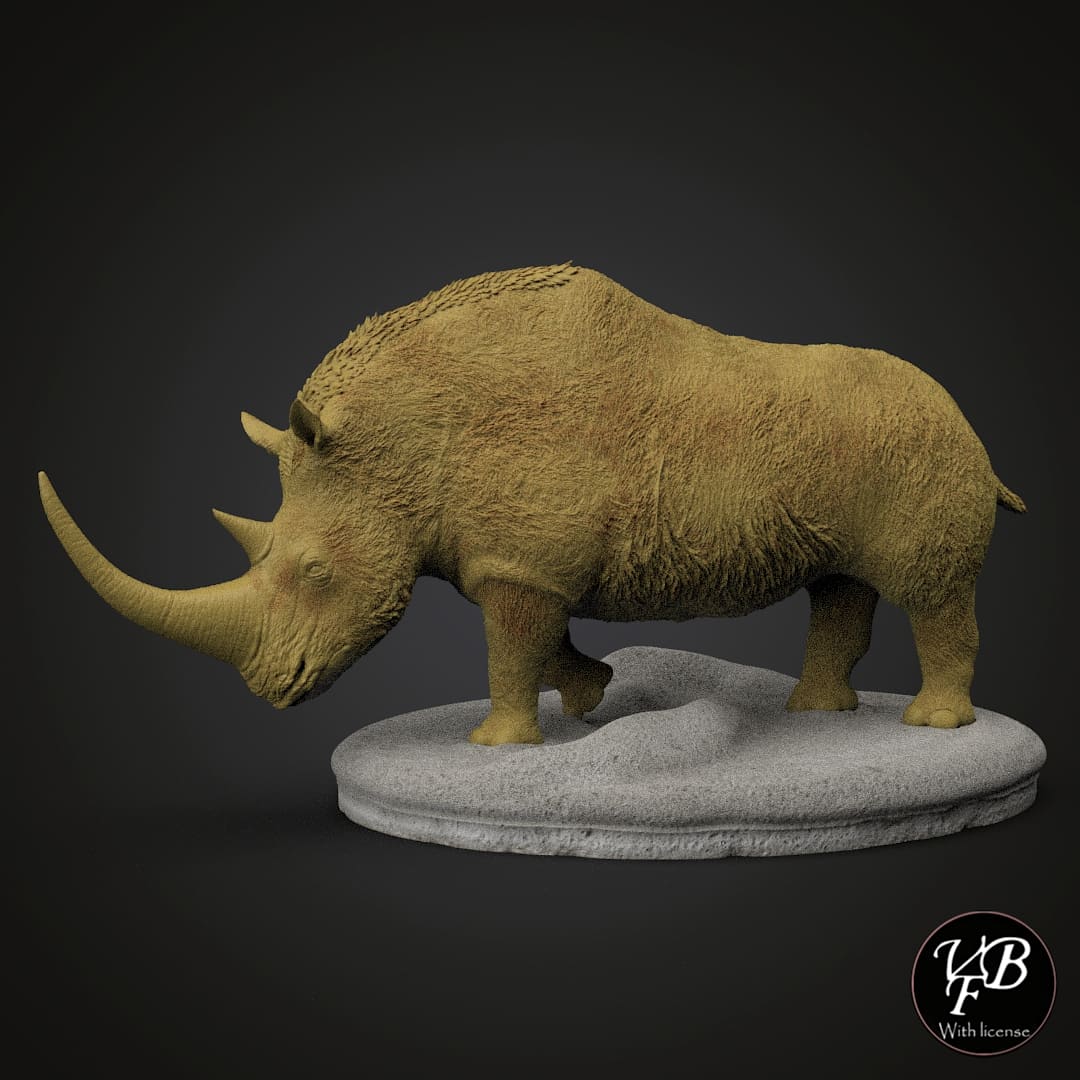 Coelodonta antiquitatis