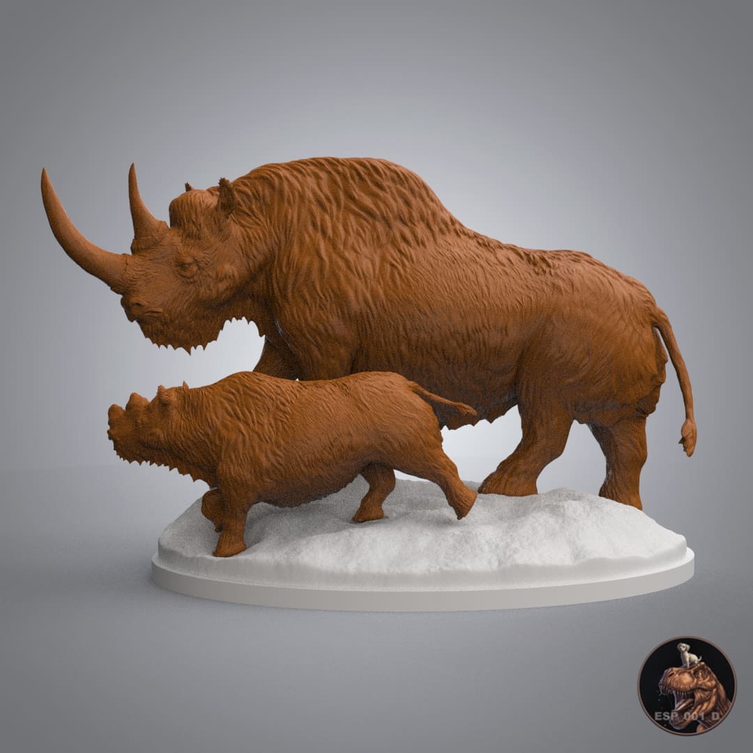 Coelodonta antiquitatis