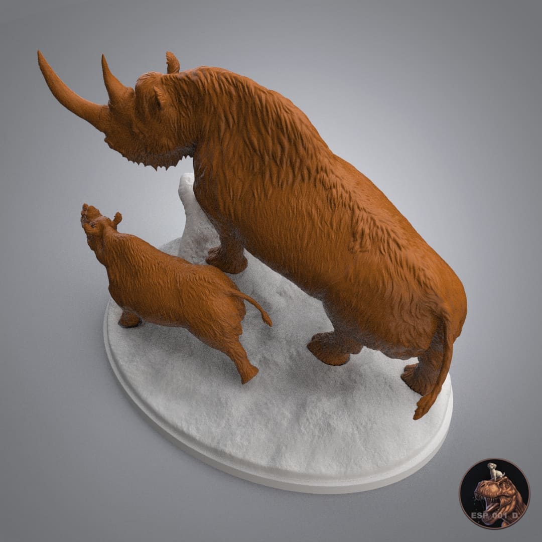 Coelodonta antiquitatis