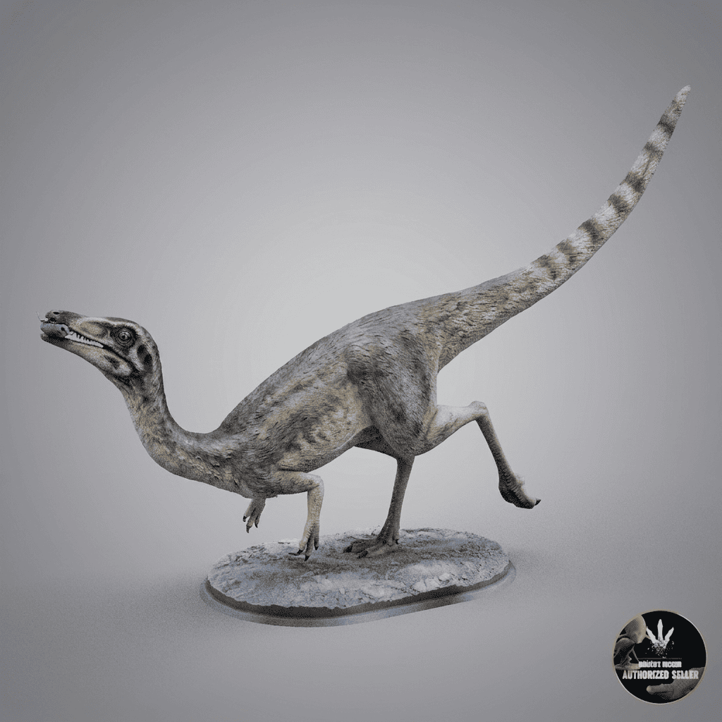 Compsognathus longipes