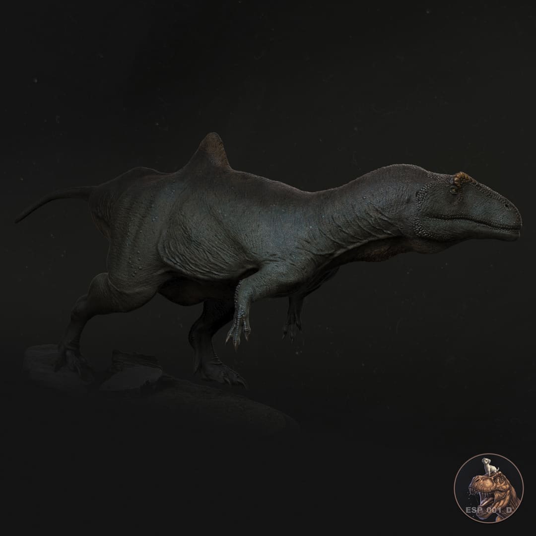 Konkavenator corcovatus