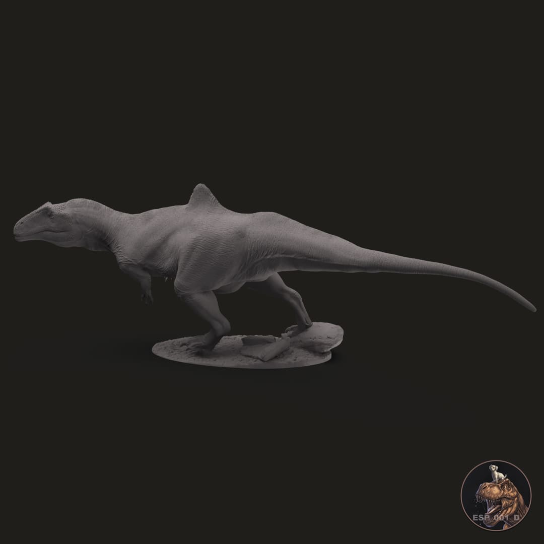 Konkavenator corcovatus