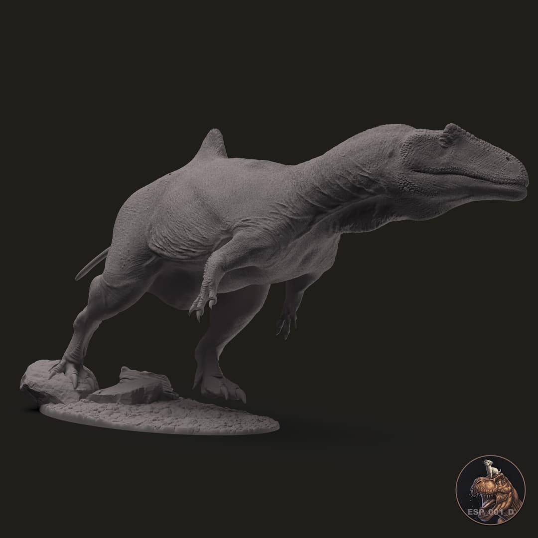Konkavenator corcovatus