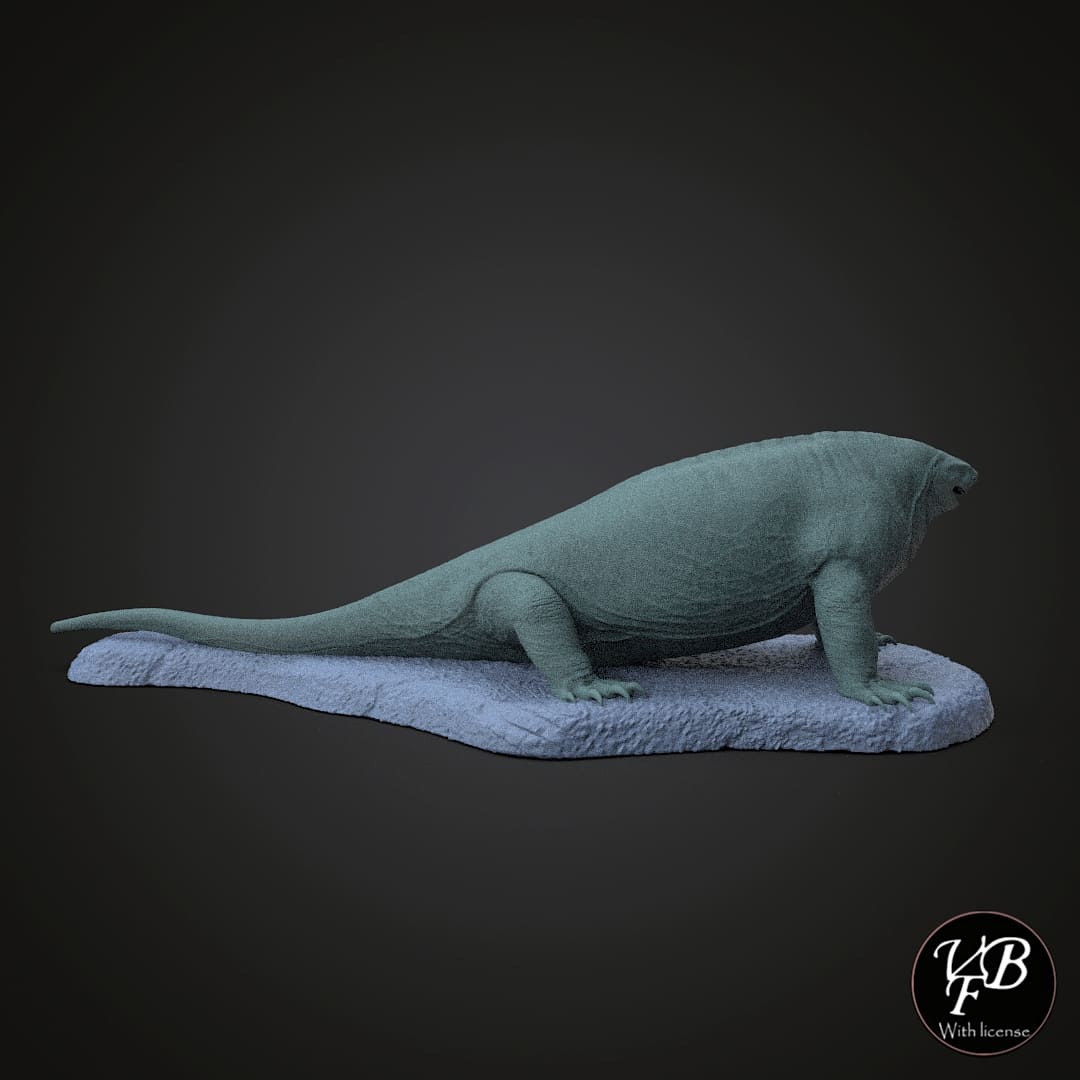 Cotylorhynchus