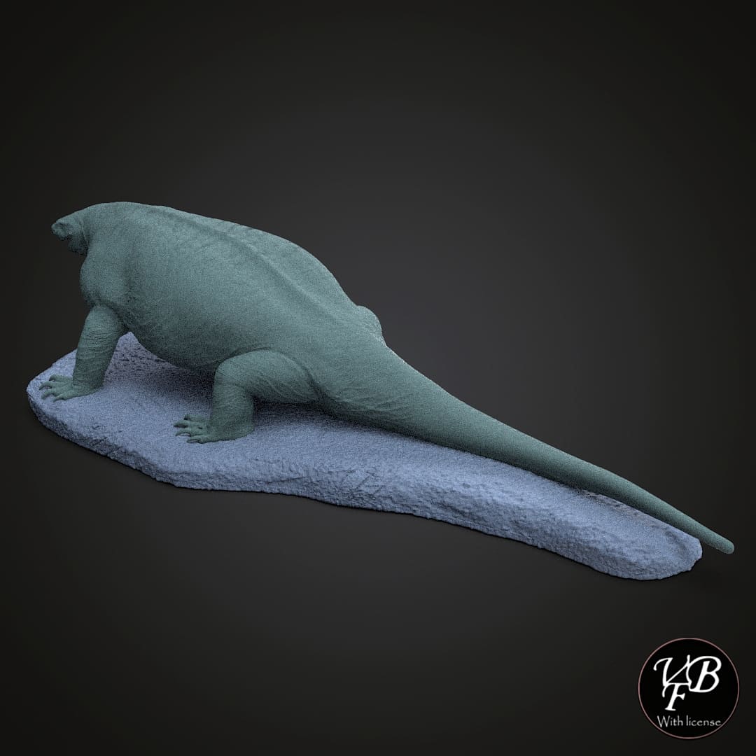 Cotylorhynchus