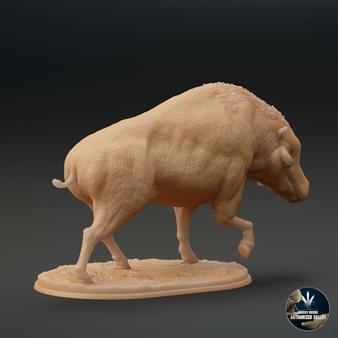 Daeodon shoshonensis