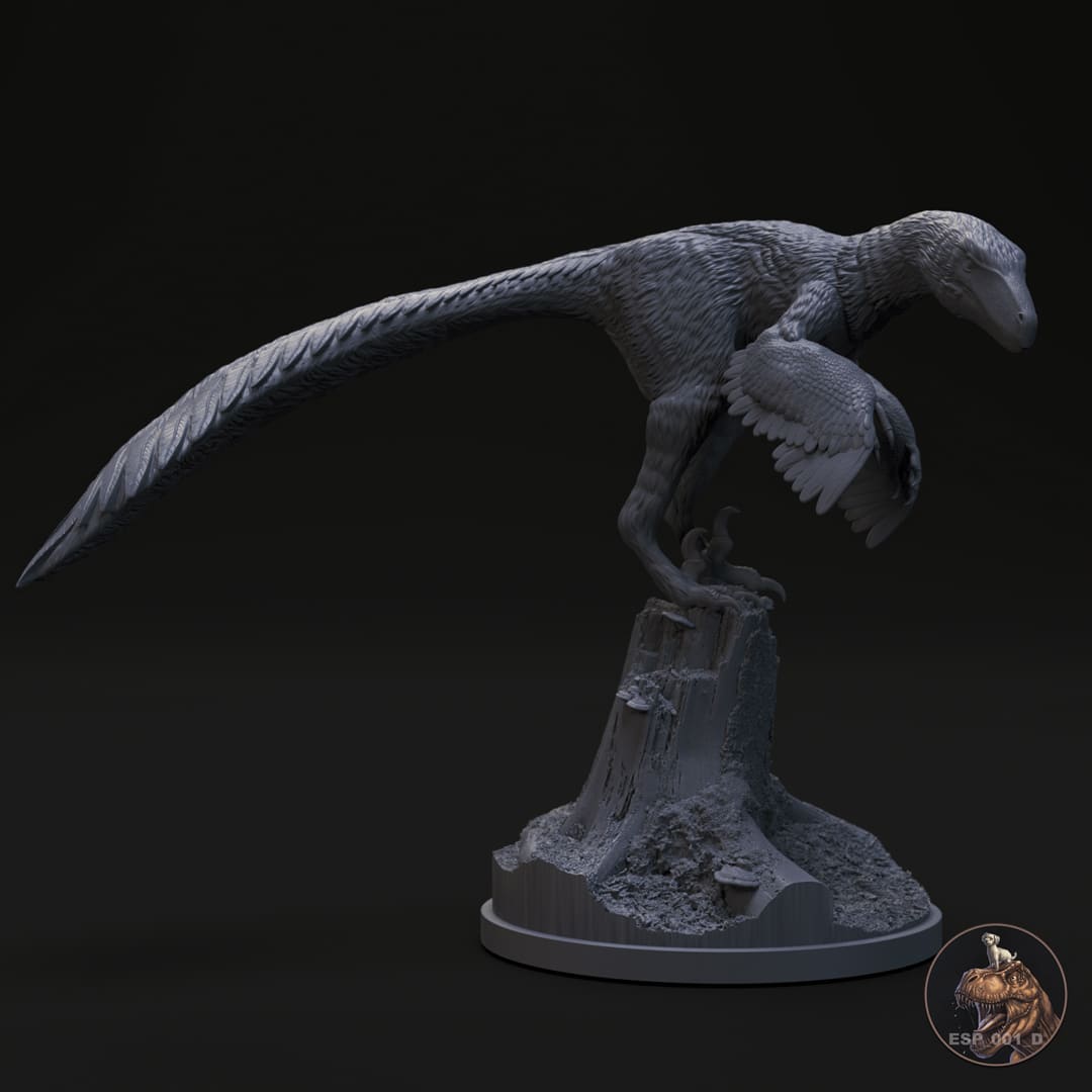 Dakotaraptor steini