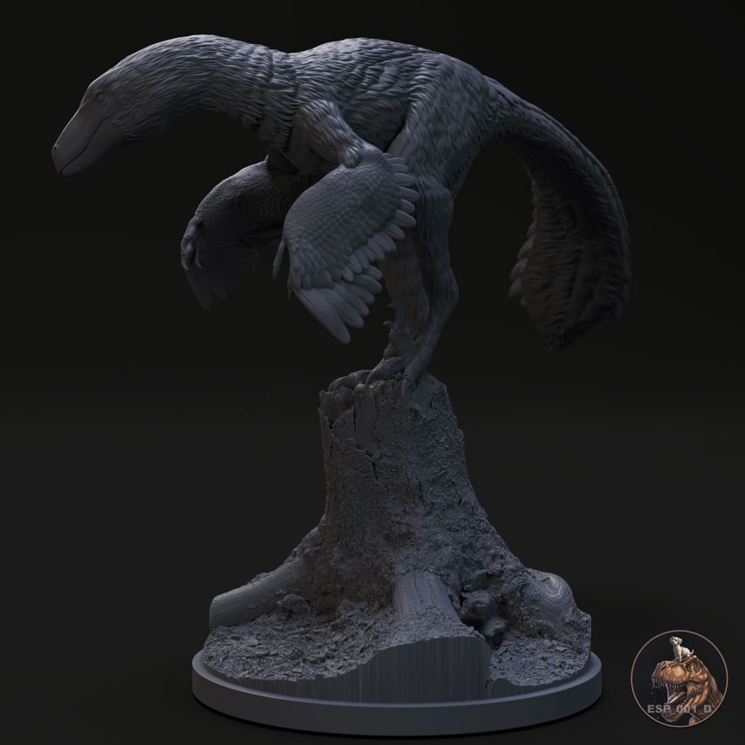 Dakotaraptor steini