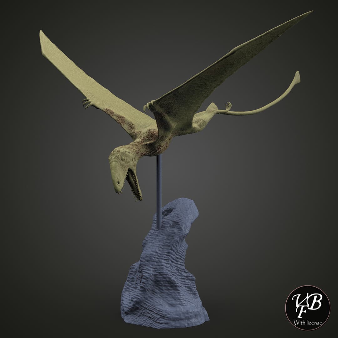 Dimorphodon macronyx