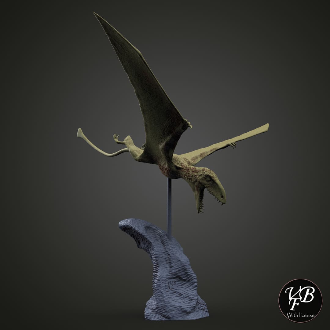 Dimorphodon macronyx