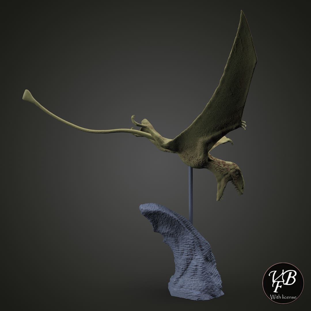 Dimorphodon macronyx