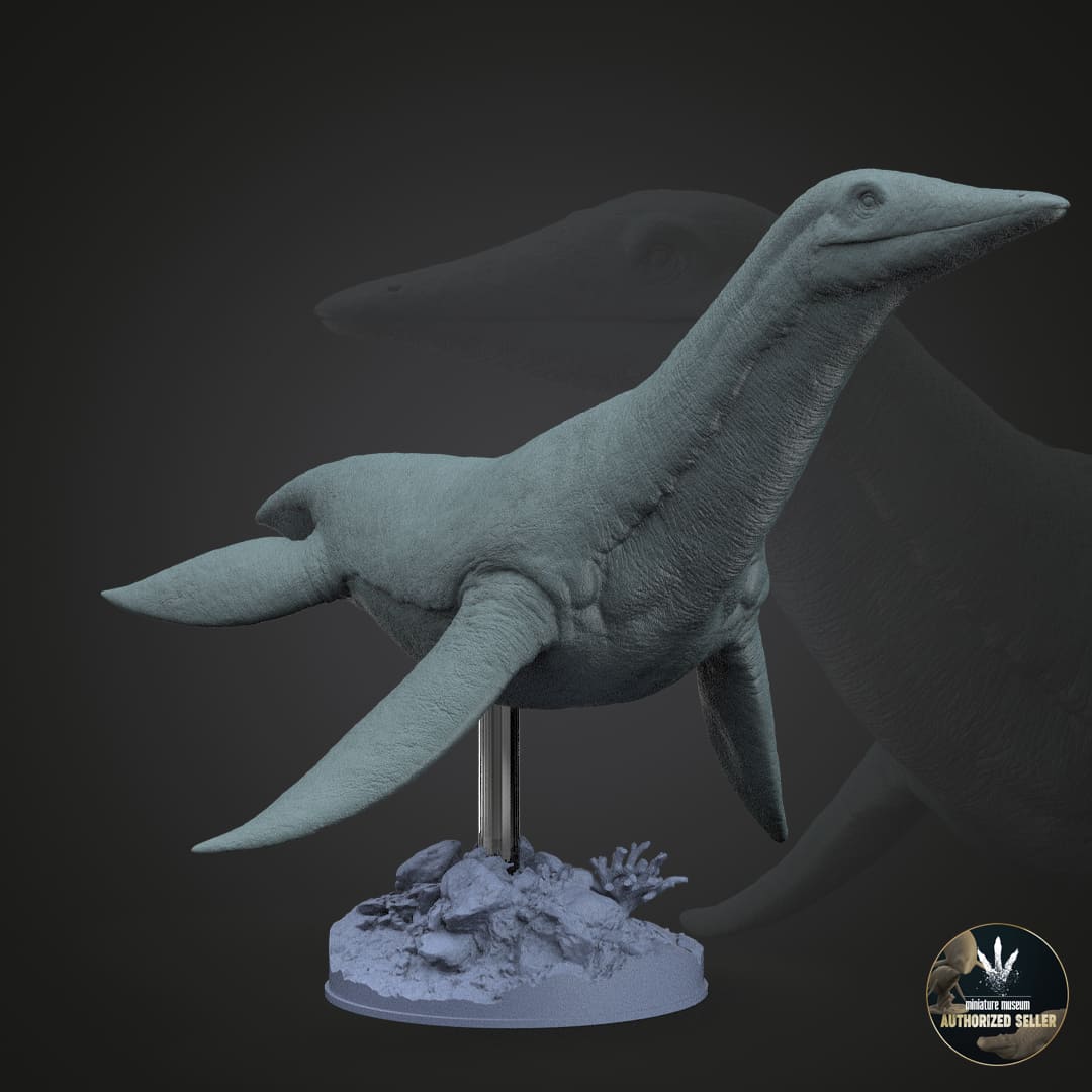 Dolichorhynchops osborni