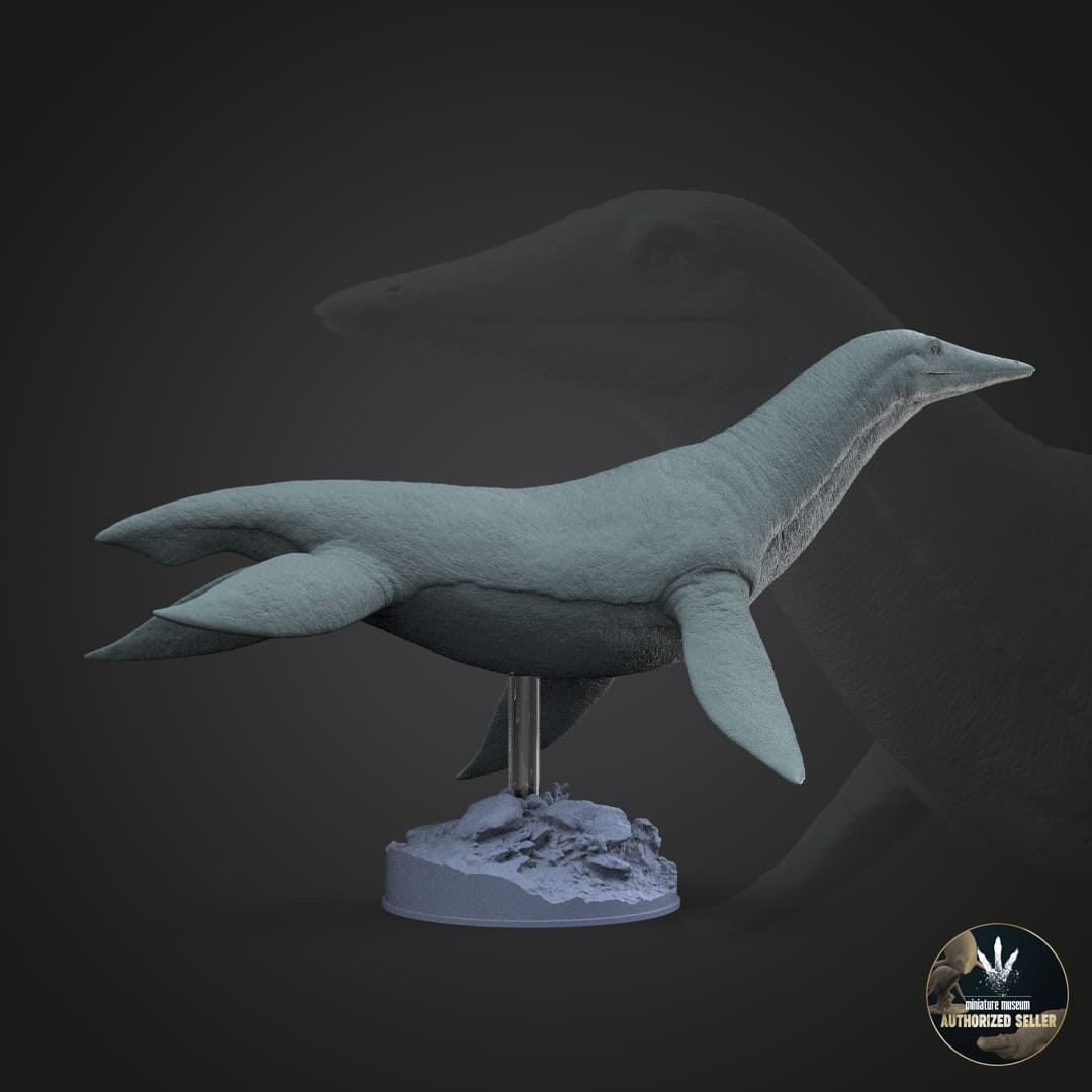 Dolichorhynchops osborni