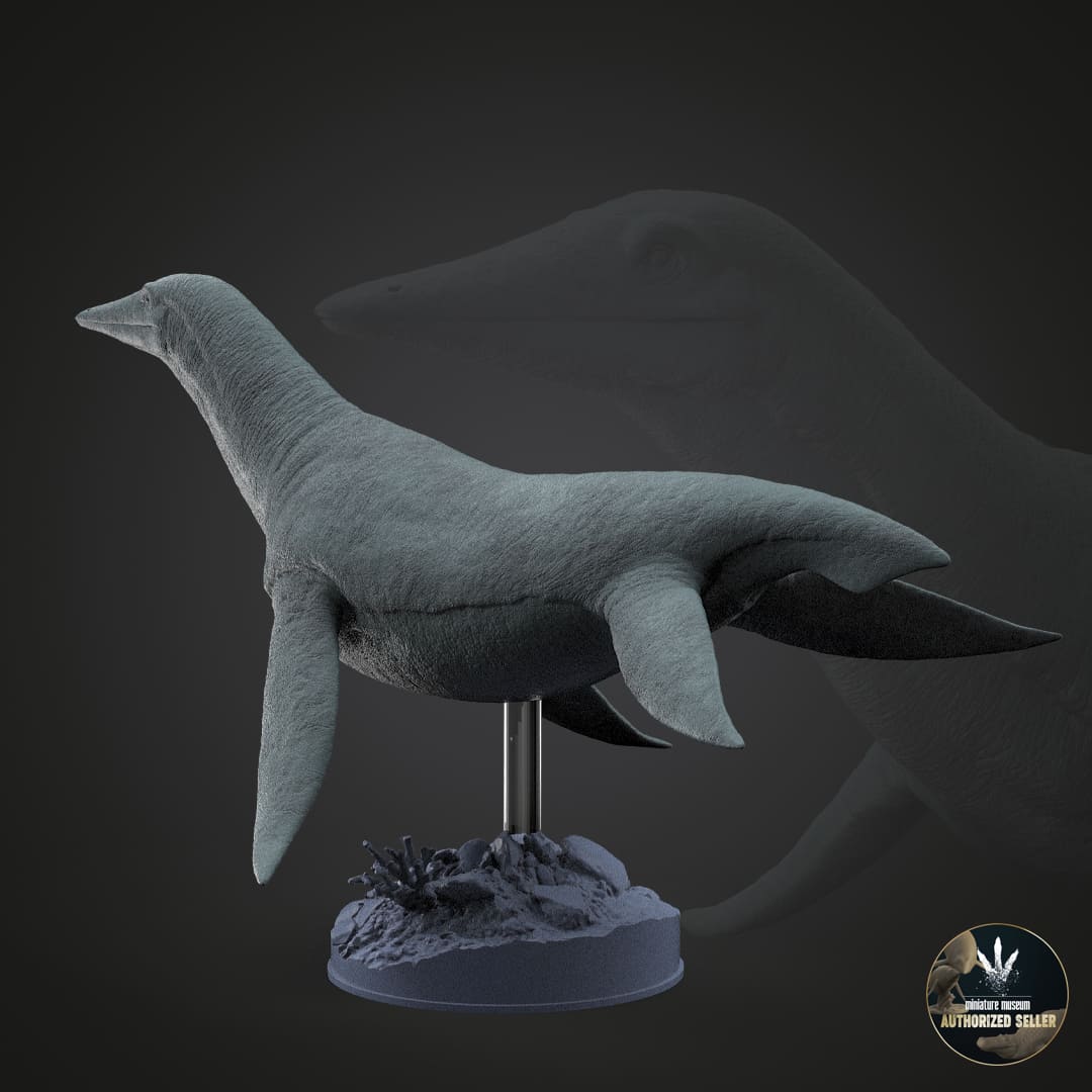 Dolichorhynchops osborni