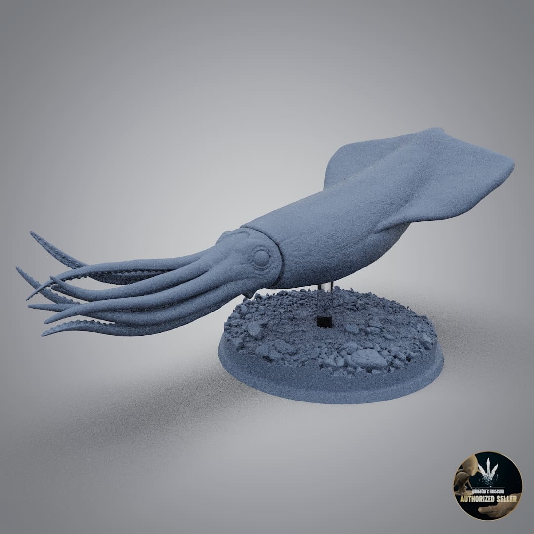Enchoteuthis melanae