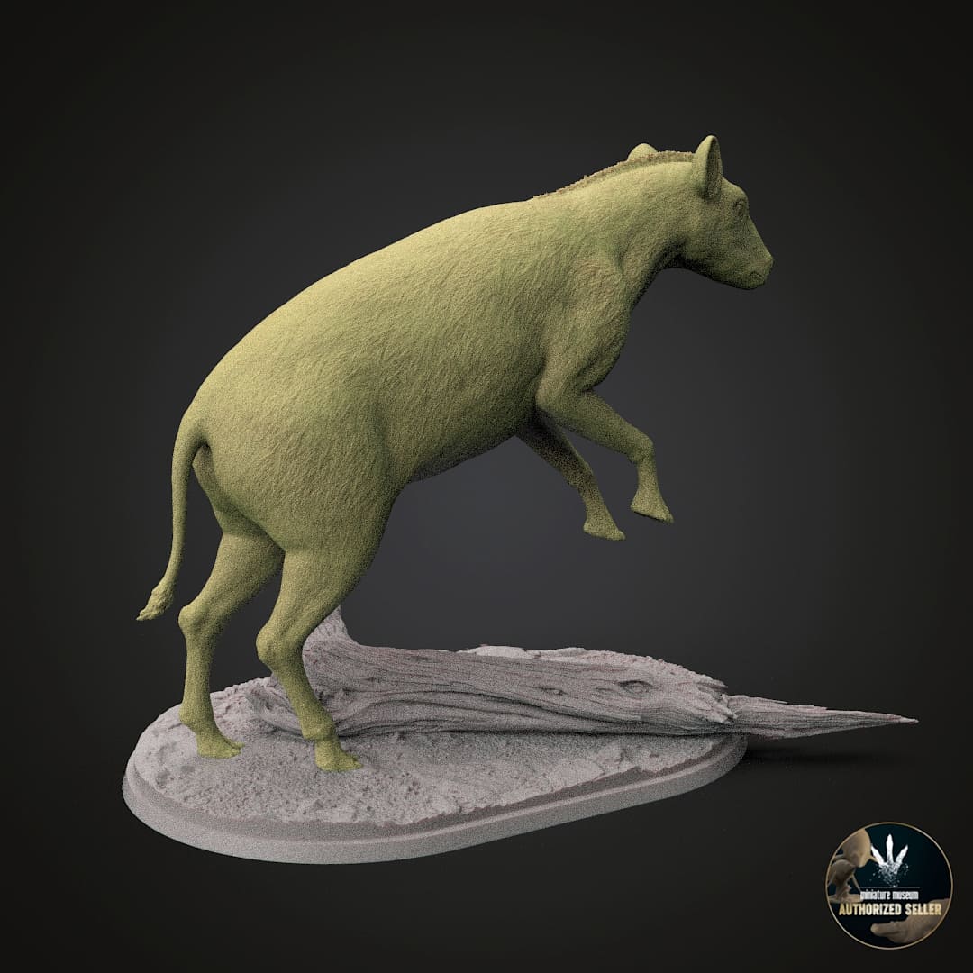 Eohippus angustidens