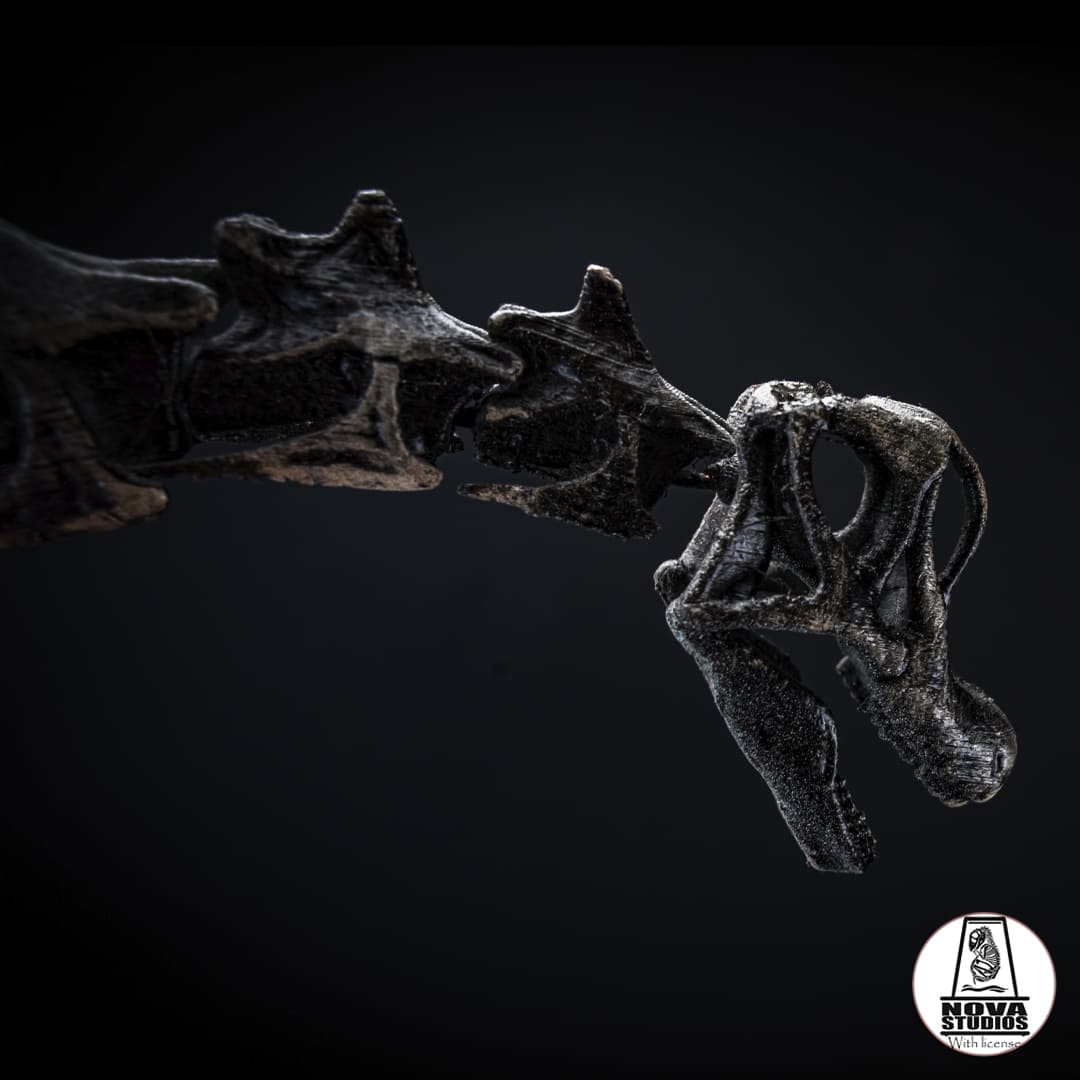 Giraffatitan brancai
