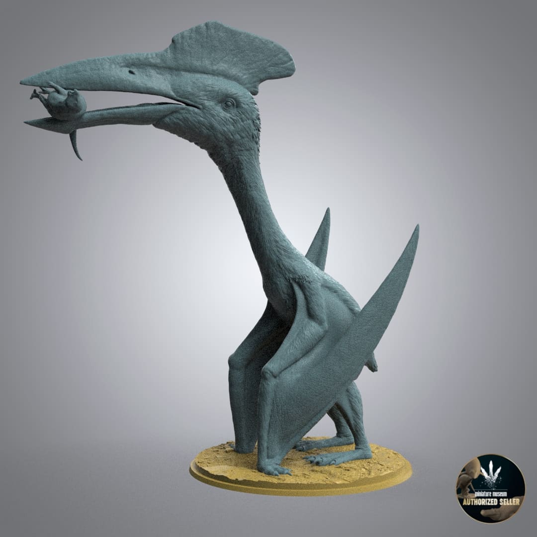 Hatzegopteryx thambema