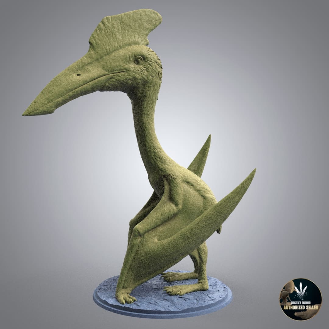 Hatzegopteryx thambema