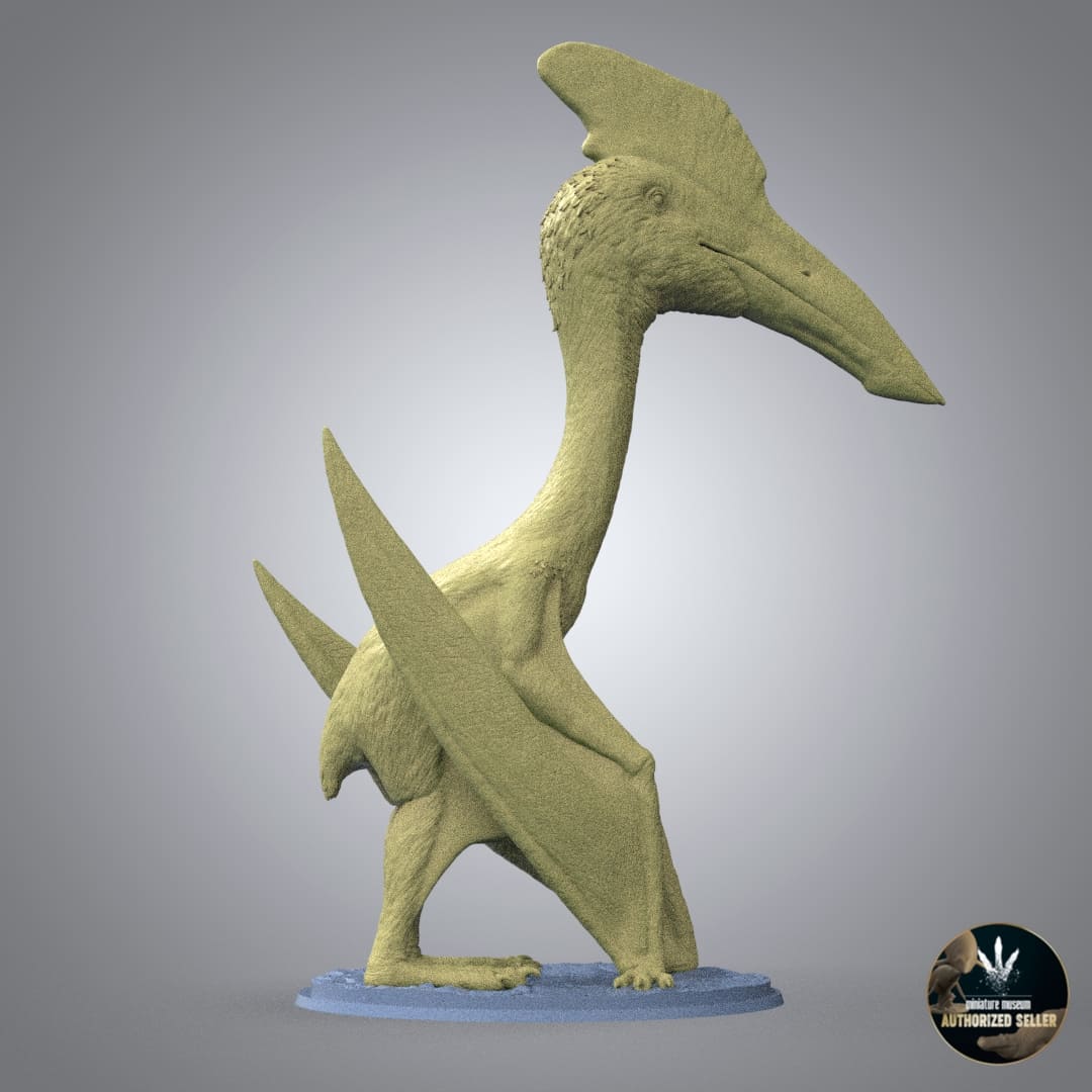 Hatzegopteryx thambema