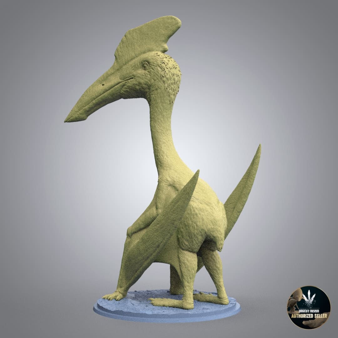 Hatzegopteryx thambema