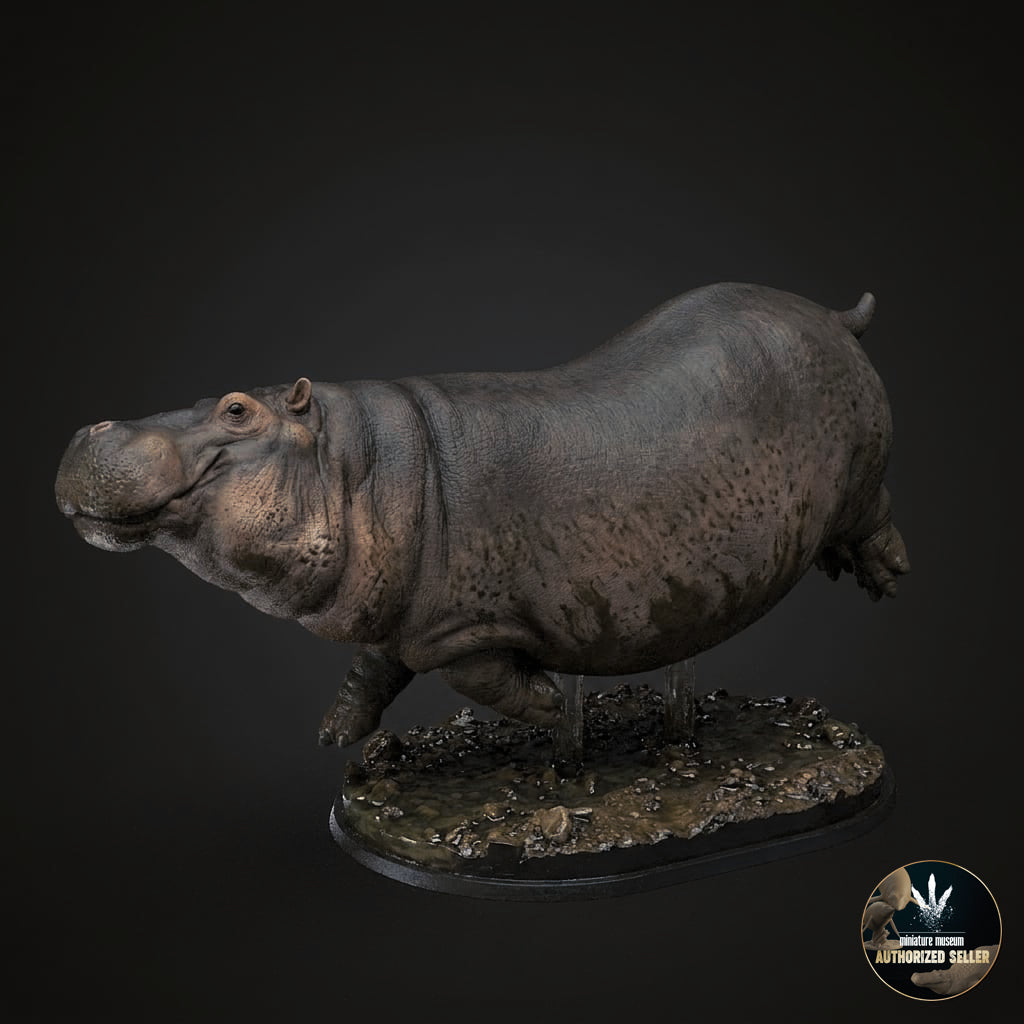 Hexaprotodon sivalensis