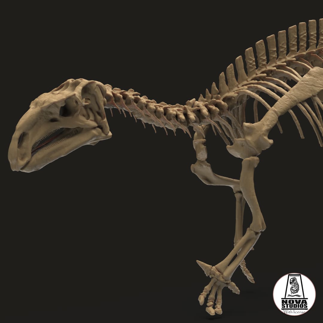 Mantellisaurus atherfieldensis